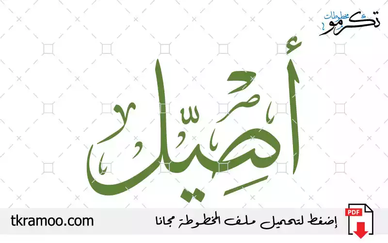 اسم أصيل مزخرف بخط الثلث جديد