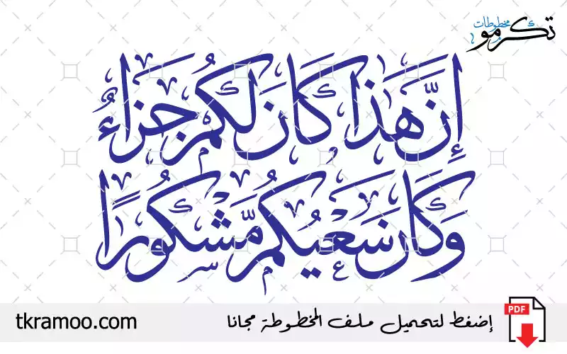 إن هذا كان لكم جزاء وكان سعيكم مشكورا