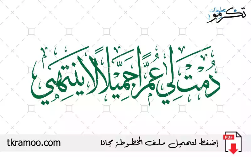 دمت لي عمرا جميلا لا ينتهي